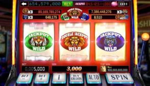 Discover Premium Gaming at PrimaPlay with Exciting Bonuses and 24/7 Support