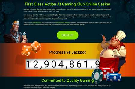 Experience Premium Gaming with PrimaPlay: Top Bonuses, Diverse Casino Games, and 247 Support