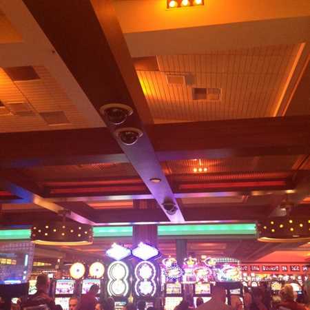 Experience Thrilling Bets at Seminole Hard Rock Hotel & Casino Tampa – Place Your Future Bets Now!