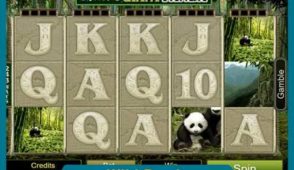 No Max Cash Out with Exclusive Deposit Bonuses and Free Spins
