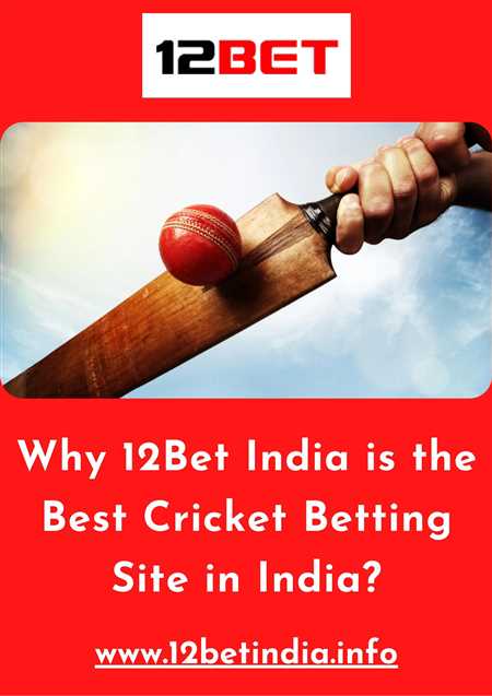 How to Download a Bookmaker App for Ball to Ball Cricket Betting in India