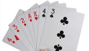 Explore Top Betting Apps for Android iOS and Windows with Detailed Reviews and FAQs