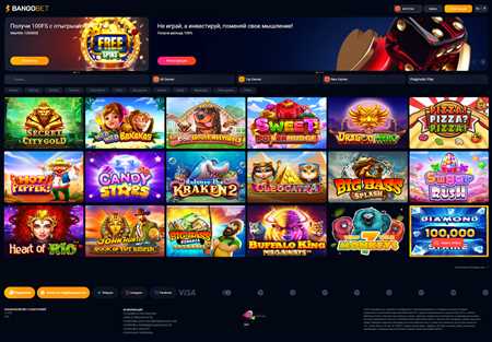 Inclave Casino: Secure Passwords and Upcoming Betting Options, Despite Wyoming's Legal Restrictions