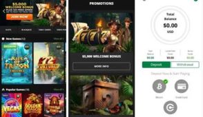 CasinoChan Offers Exceptional Bonuses Making It a Top Choice for Players