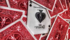 Best South African Casinos for 2024 Featuring No Deposit Free Spins and Generous Bonuses