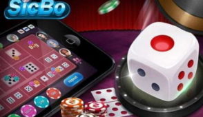 High-Quality Ceramic Crown Poker Chips Set 300 and 500 Pieces for Sale at €24995