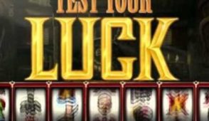 Experience the Thrill of Buffalo Online Slots and Win Big at 777 Casino Novibet