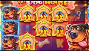 Discover the Leading Online Casinos in Bangladesh with 100% Slots Bonus at RAJABAJI Casino