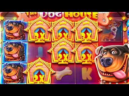 Top Online Casino Slot Machines: Explore Ammit, Fire Coins Hold and Win, Royal Ribbit, Aztec The Dog House Dog or Alive, and Crown and Diamonds